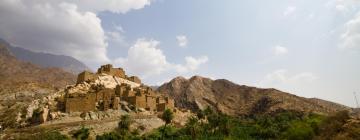 Mga flight papuntang Asir Province