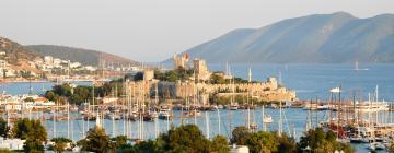 Flights to Bodrum