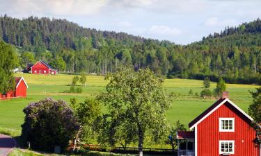 Vuelos a Småland