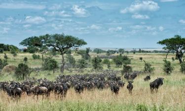 Voos para Serengeti