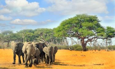 Vluchten naar Hwange National Park