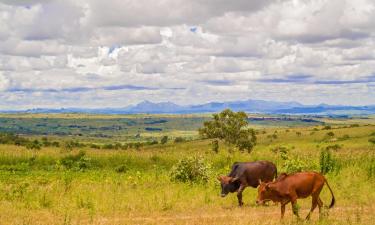 Flights to Lilongwe City