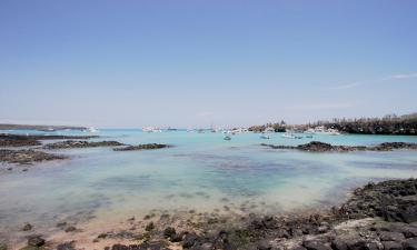 Chuyến bay đến Santa Cruz Island