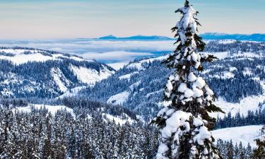 Mount Washington Alpine  तक की फ़्लाइट्स