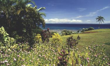 Chuyến bay đến Đảo Taveuni