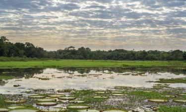 Mato Grosso do Sul तक की फ़्लाइट्स