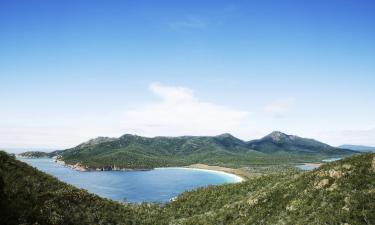 Flights to Tasmania