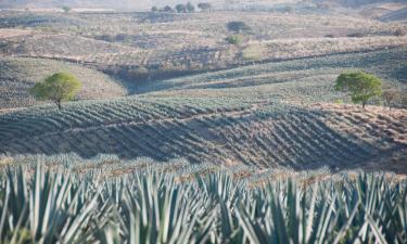 Полети до Jalisco