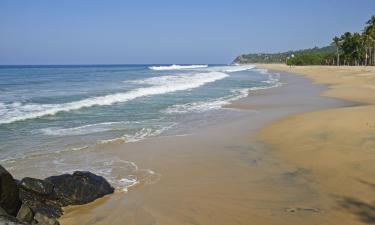 Letenky do regionu Nayarit