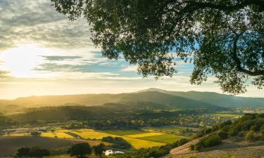 Sonoma County तक की फ़्लाइट्स