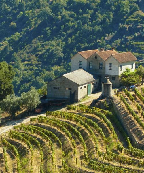 Una bonita panorámica de Douro