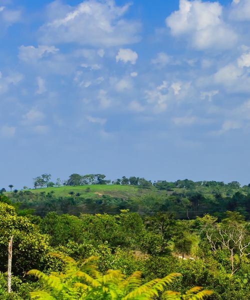 Llanos: skaista ainava