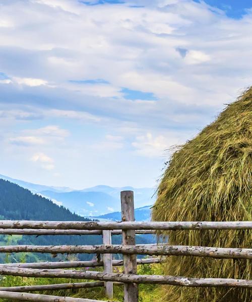 Bukovina bölgesinden güzel bir manzara