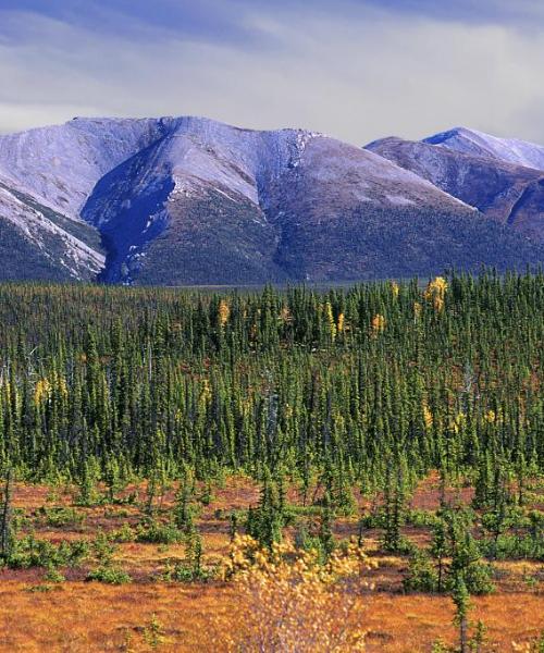 Una bella vista de Northwest Territories