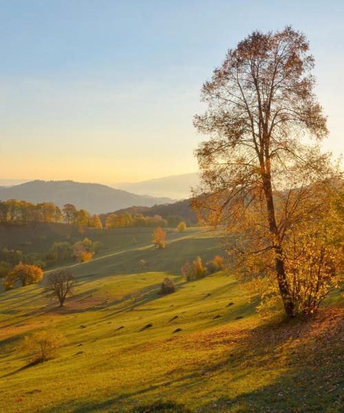 Красивый вид региона Vrancea