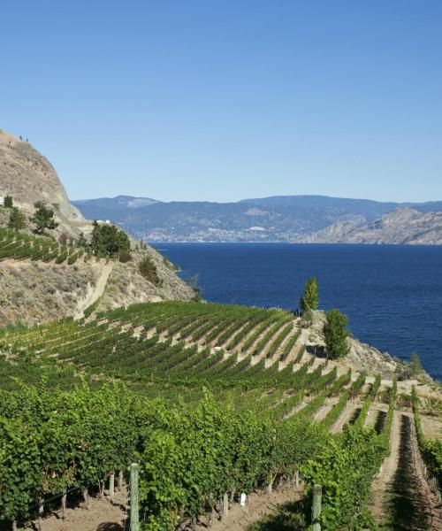 Fallegt útsýni (Okanagan Valley)