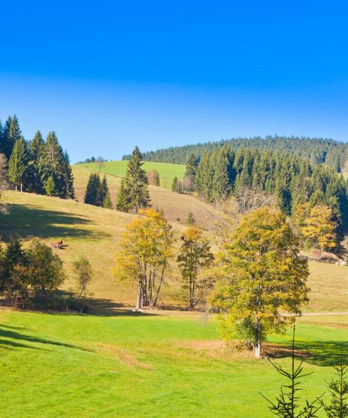 Una bonita panorámica de Swabian Forest