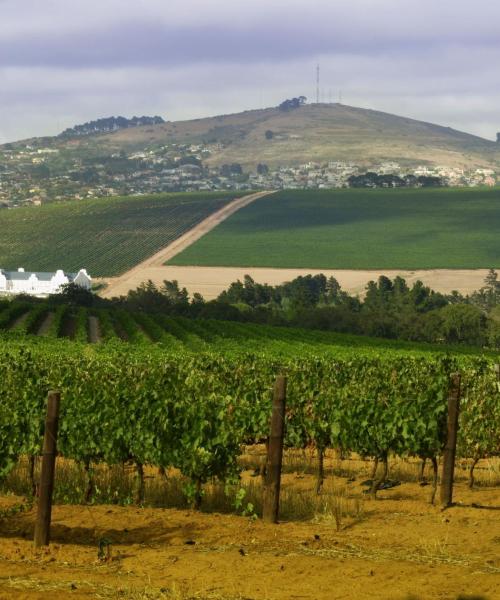 Uma bela vista de Cape Town Northern Suburbs