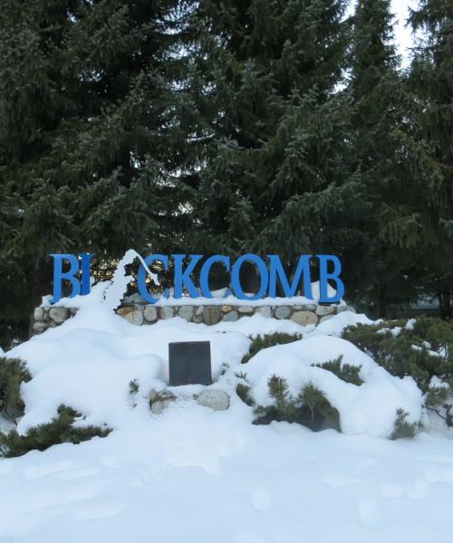 Una bella vista de Whistler Blackcomb