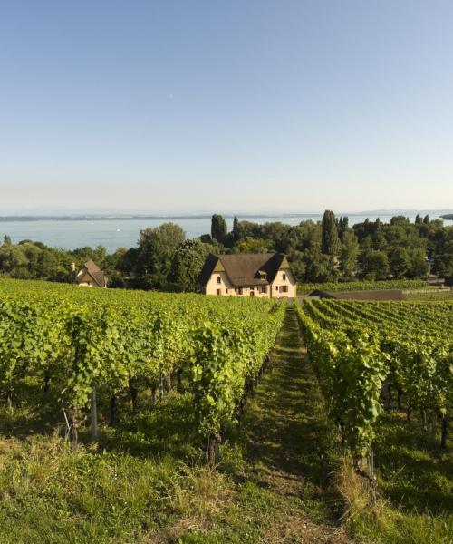 Una bella vista de Lago de Neuchâtel