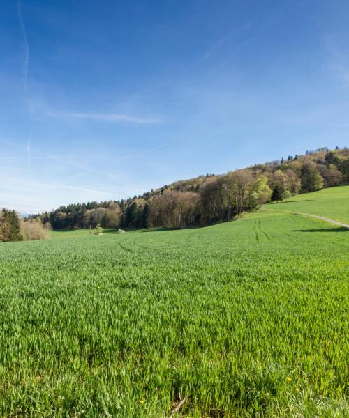 O imagine frumoasă din Aargau