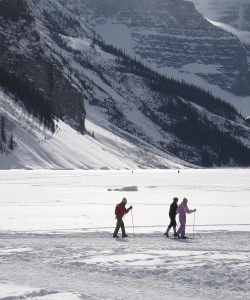 Fallegt útsýni (Lake Louise Ski Region)