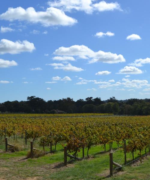 วิวสวยงามของ Geographe Wine Region