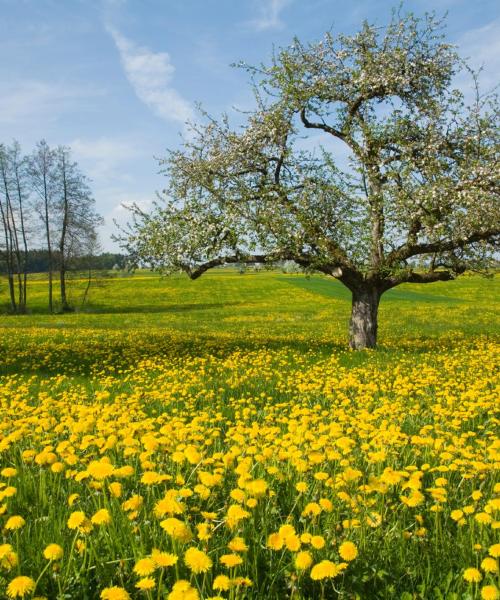 Uma bela vista de Thurgau