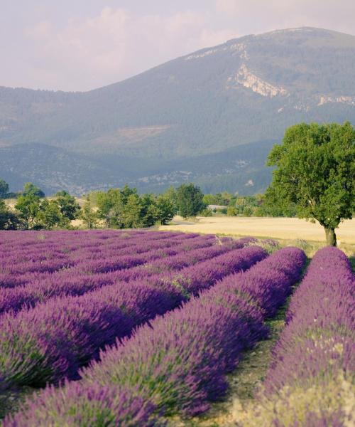 Krásny pohľad na región Valensole Plateau