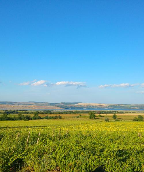 Piękny widok na region Bacău