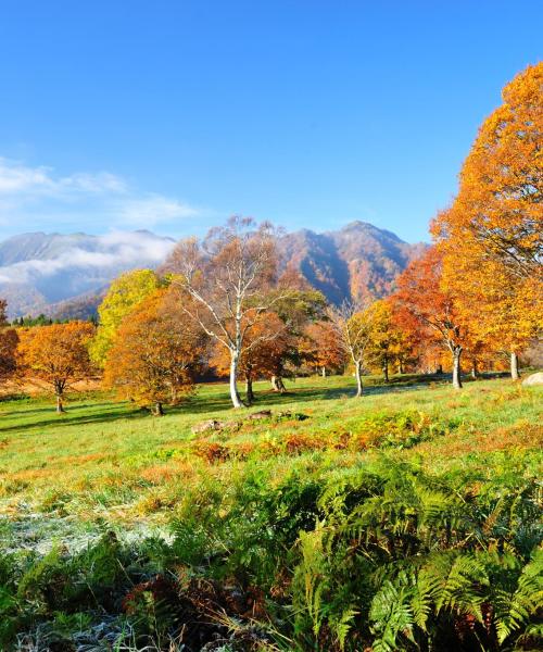 Una panoràmica bonica de Niigata