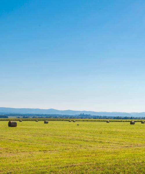 Continental Croatia: skaista ainava