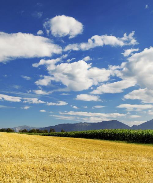 Slavonia: skaista ainava