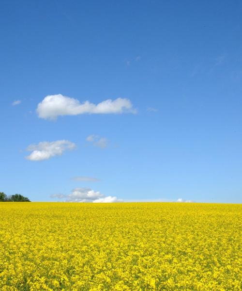 Regiooni Val d'Oise kaunis vaade