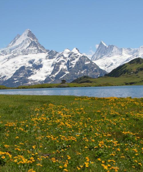 Predivan pogled na regiju 'Bernese Oberland'