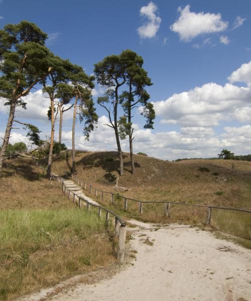 O imagine frumoasă din Gelderland