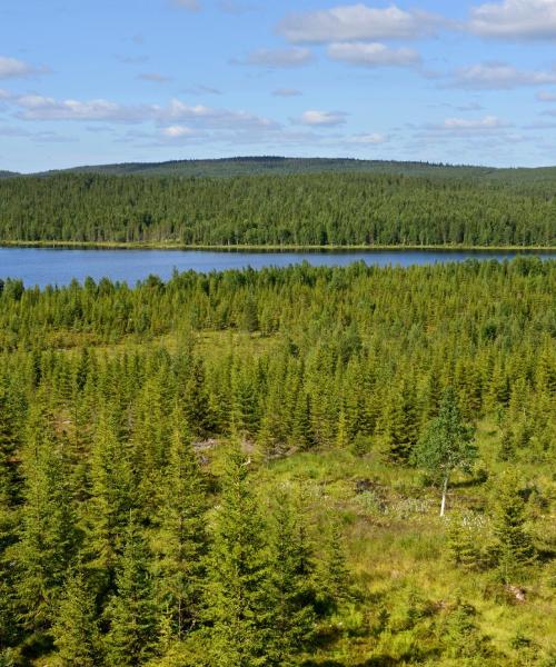 Una panoràmica bonica de Lapònia finlandesa