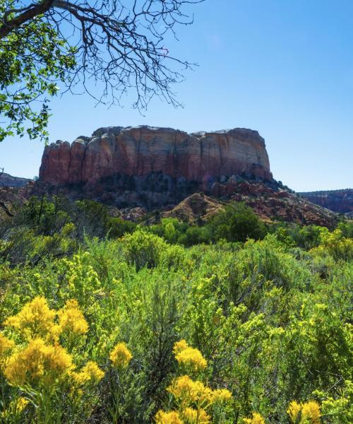 Красива гледка към региона New Mexico