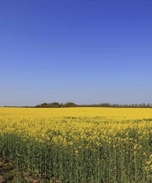 Een mooi uitzicht op Regio Sjaelland