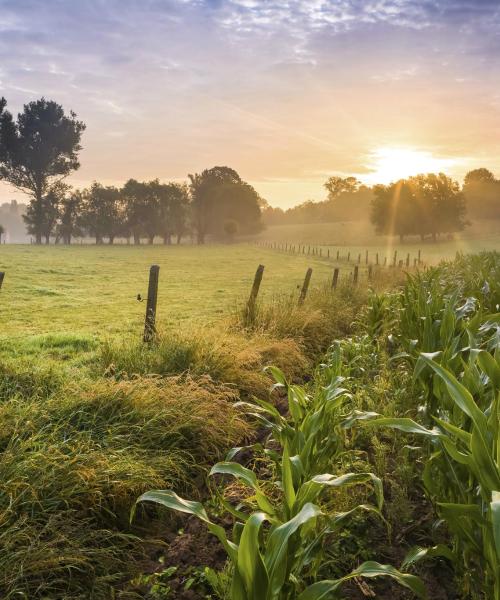 East-Flanders bölgesinden güzel bir manzara