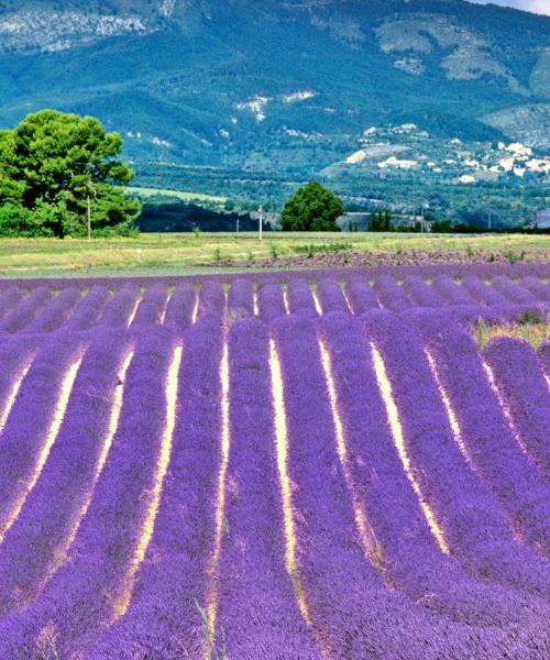 Et flott bilde av Provence