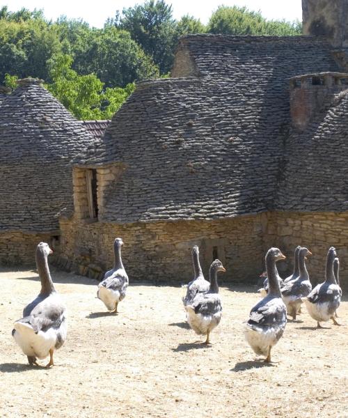 Гарний краєвид на регіон Black Perigord