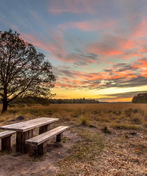 Krásny pohľad na región Drenthe