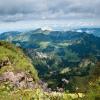 Letovi za regiju 'Coromandel Peninsula'