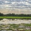 Voos para Mato Grosso do Sul