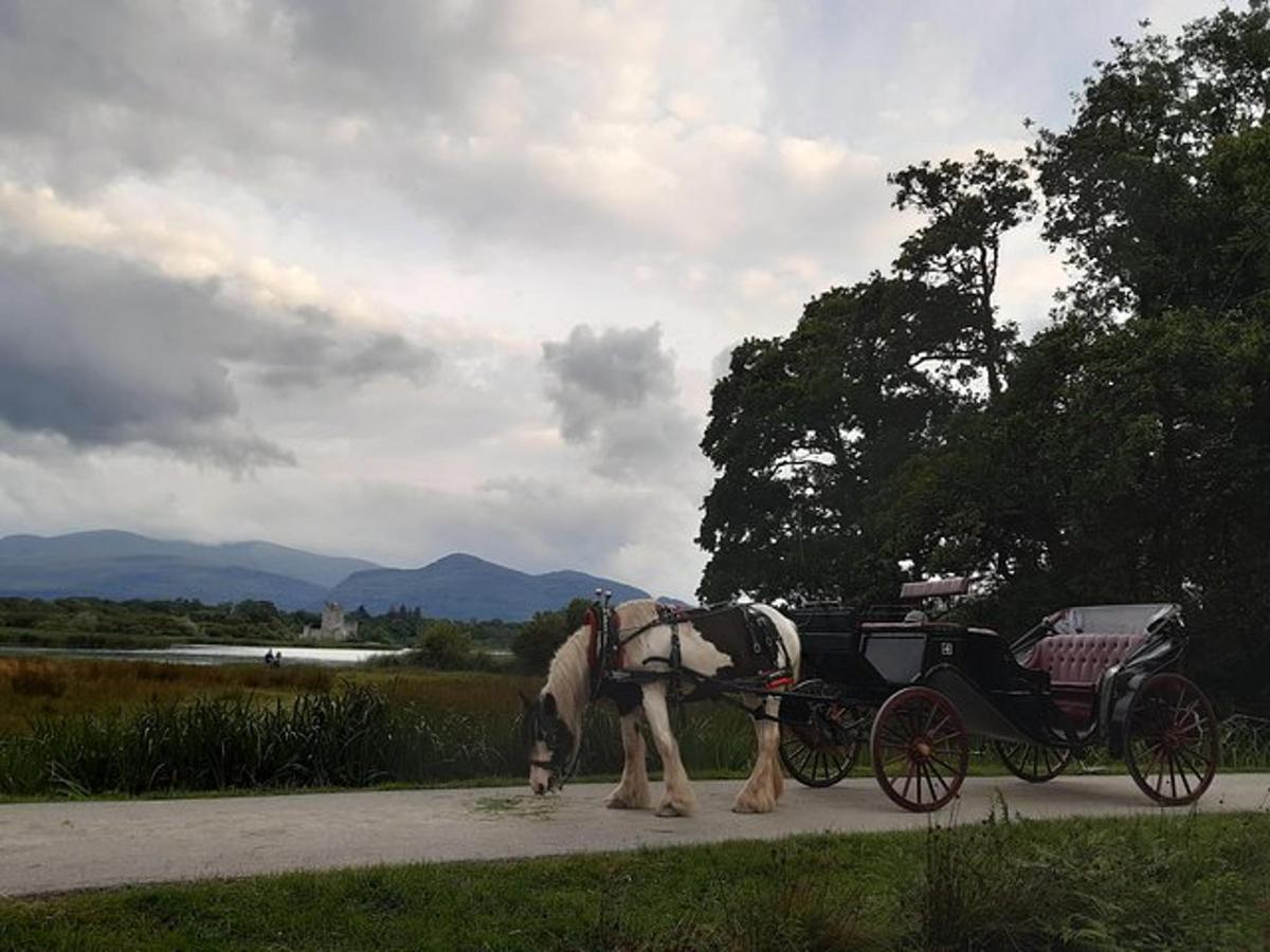 Photo de l’attraction numéro 2.