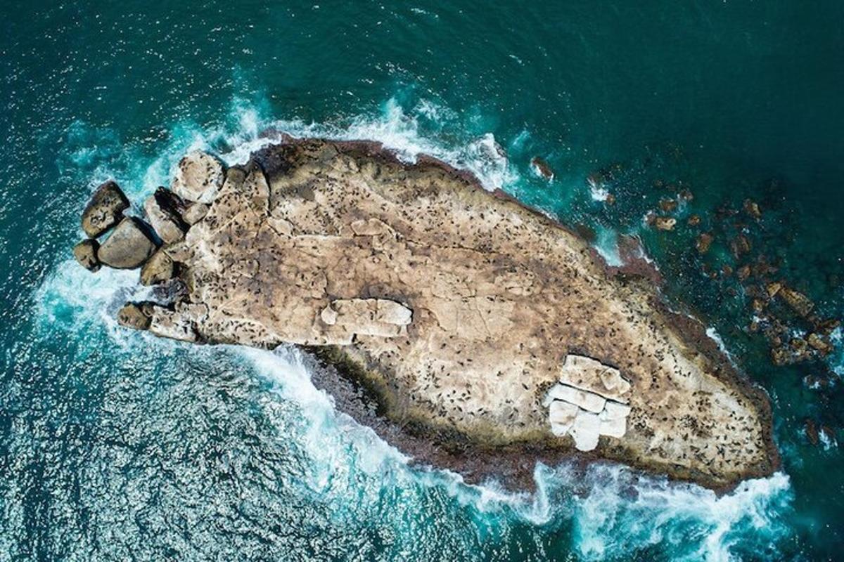 Fotografia da atração 1