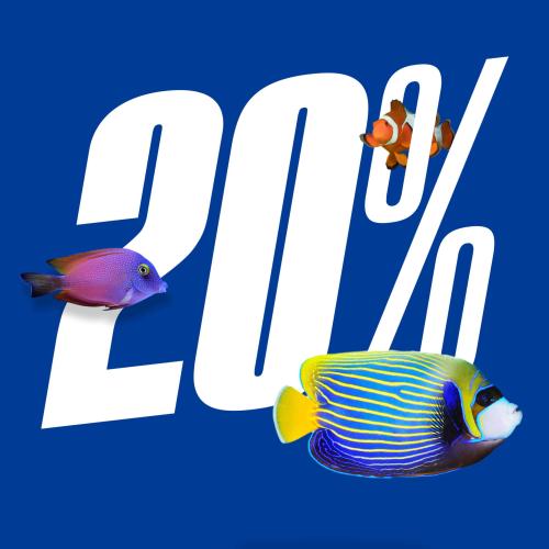 Keletas atogrąžų žuvų ir ženklas su 20 %