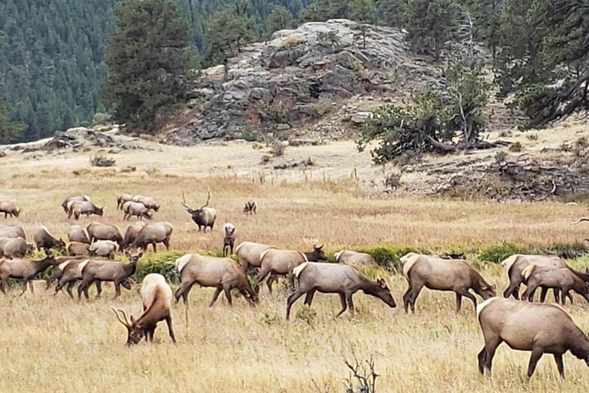 Lankytinos vietos ar pramogos nuotrauka numeris 4