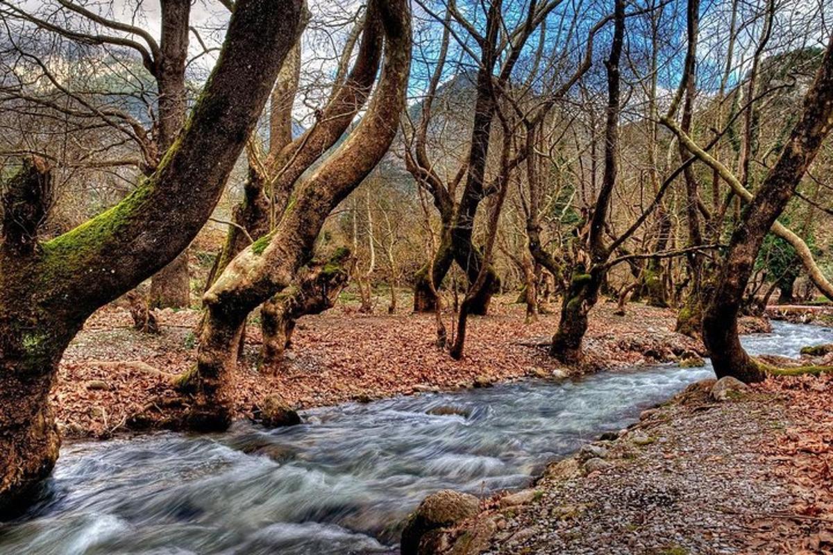 Fotografie atrakce č. 6